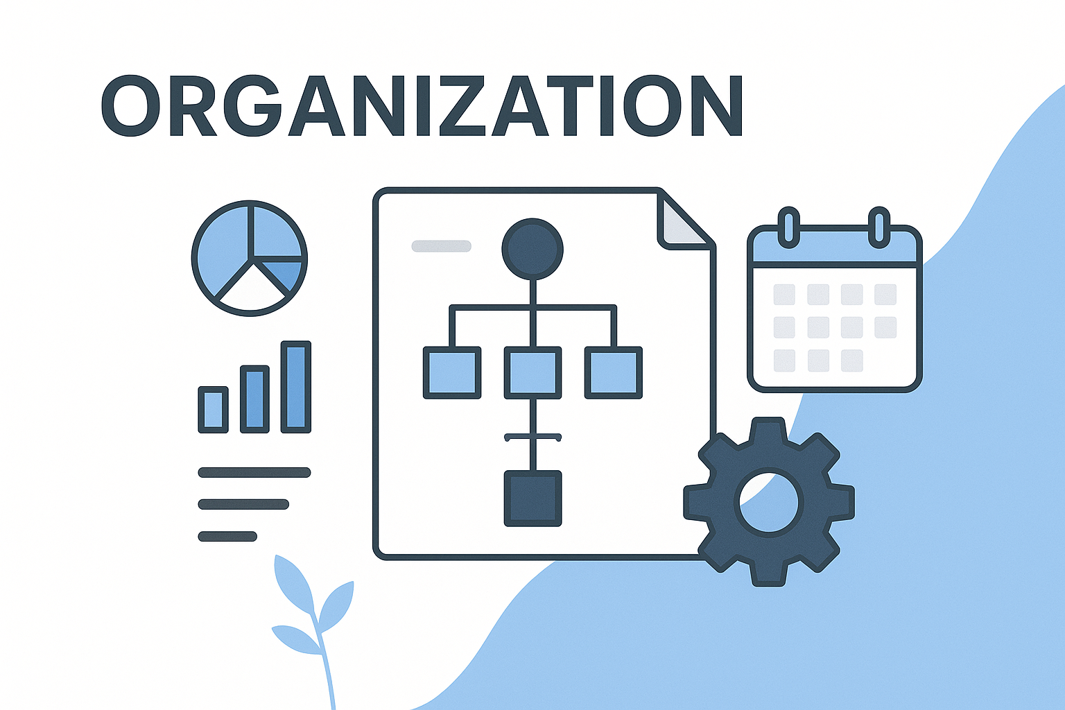 Organization